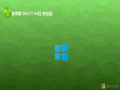 ��ƻ��ϵͳ����win11 64λ���ʷ�����v2026.04