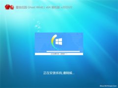 ���ѻ�԰Ghost Win8.1 X64 ����װ����2019v01(���Լ���)